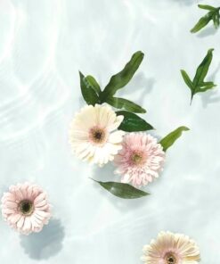 Primavera Verano 2026